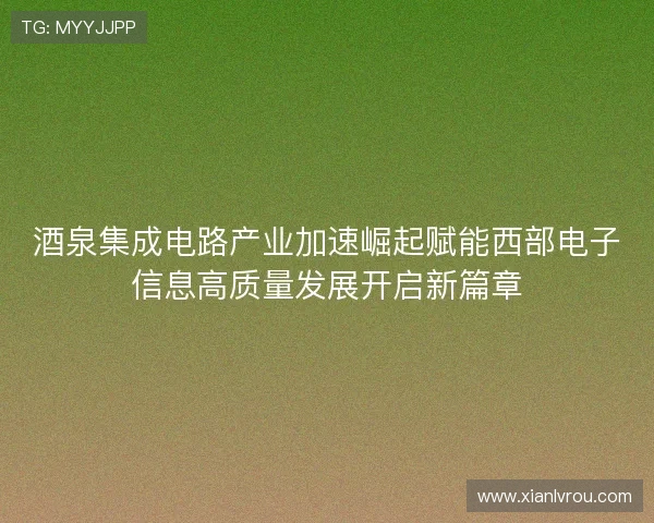 酒泉集成电路产业加速崛起赋能西部电子信息高质量发展开启新篇章
